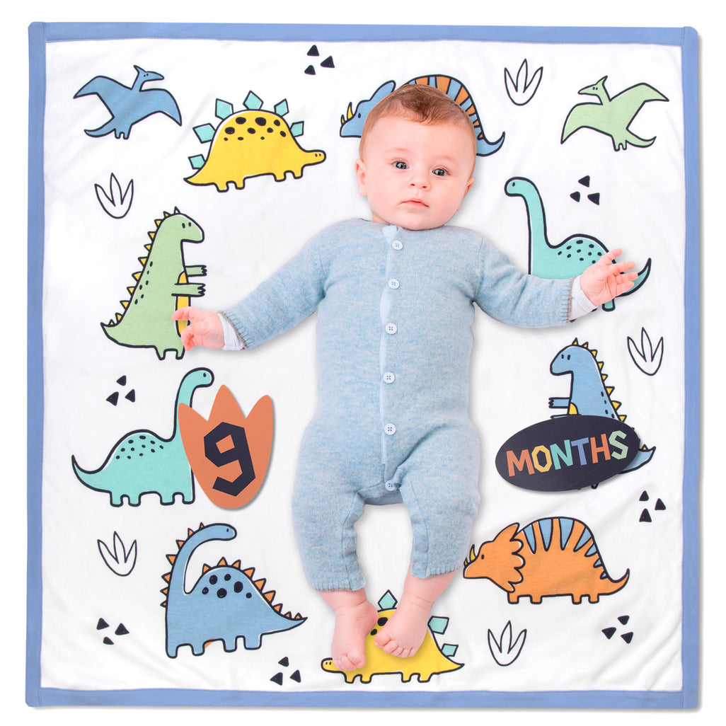 Blue Dinosaur Milestone Blanket