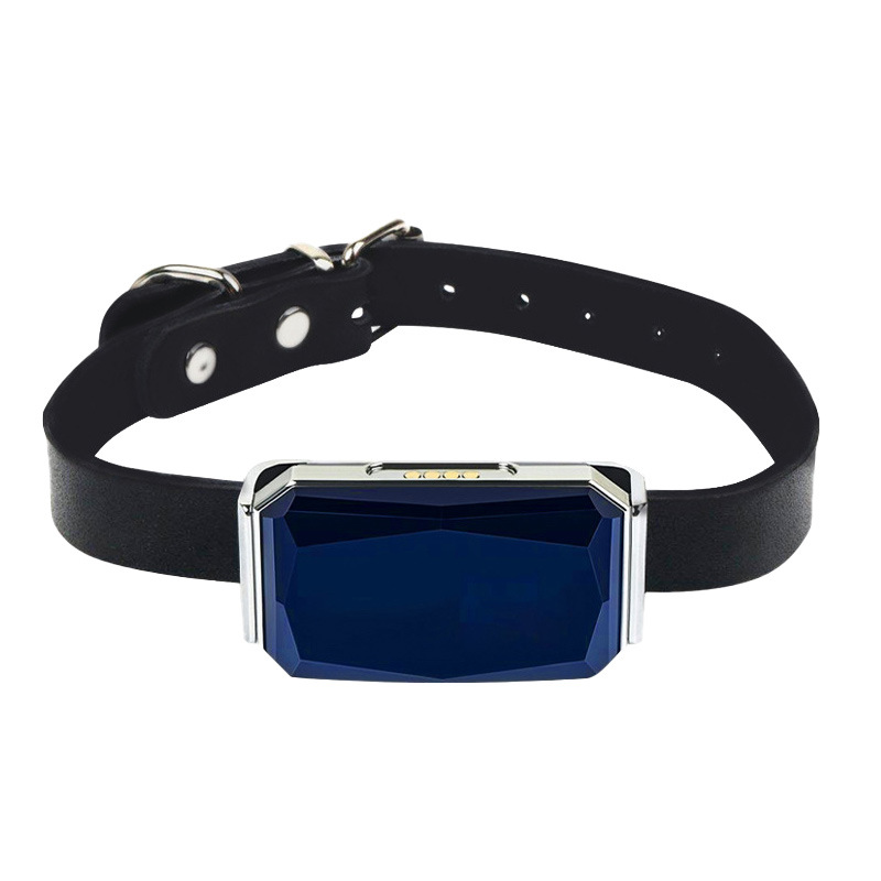 G12 Smart GPS Pet Collar